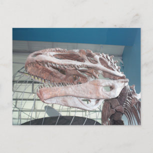 Carte Postale T-Rex