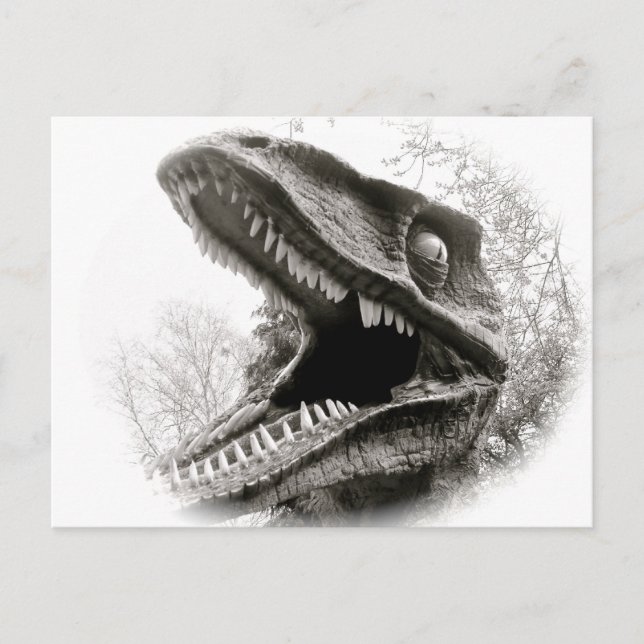 Carte postale T-Rex (Devant)