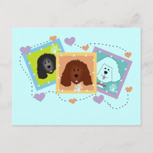 Carte Postale T-shirts et cadeaux de portraits de chien