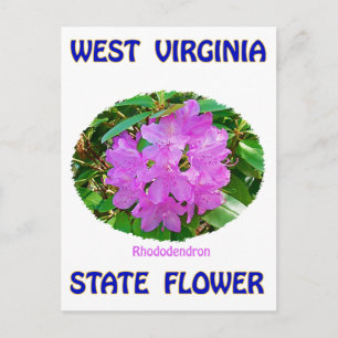 Carte Postale T-shirts et cadeaux Flower State de Virginie-Occid