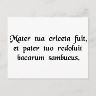 Carte Postale Ta mère était un hamster et ton père......