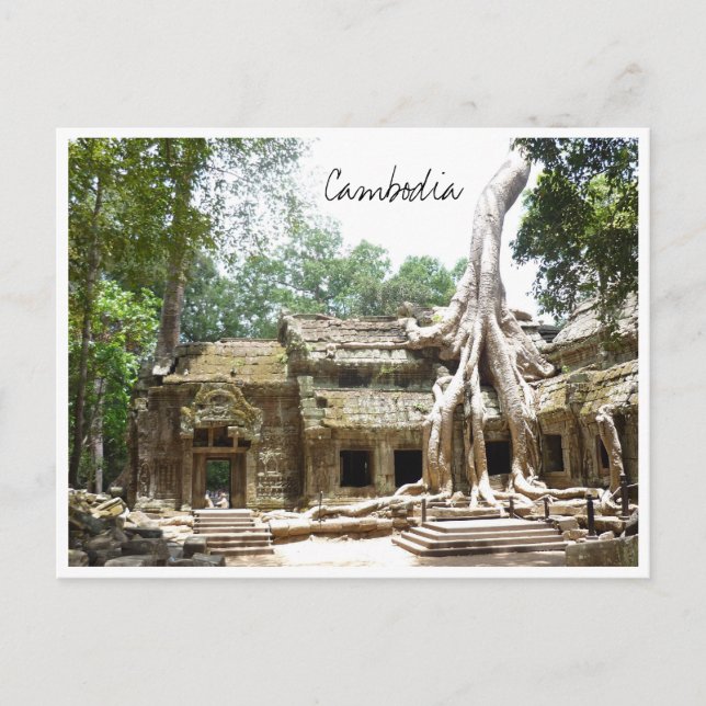 Carte Postale ta prohm cambodia (Devant)
