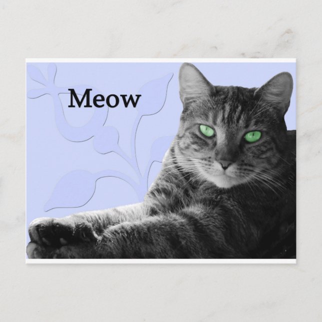 Carte Postale Tabby Cat Meow (Devant)