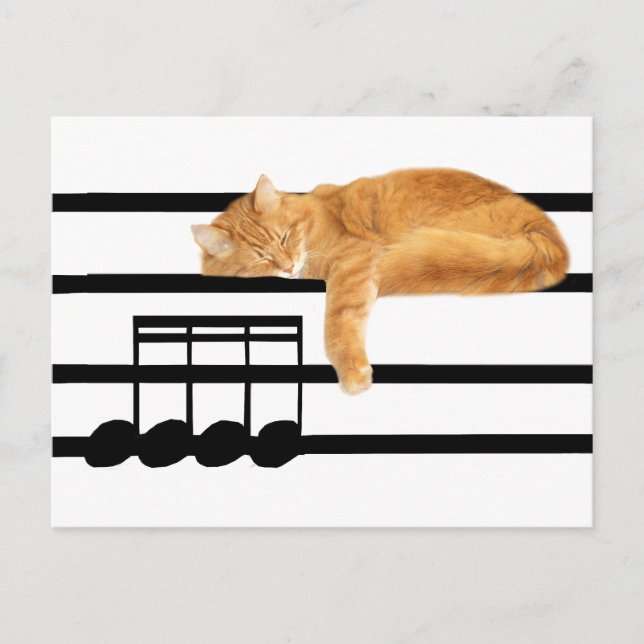 Carte Postale Tabby de musique kitty cat (Devant)