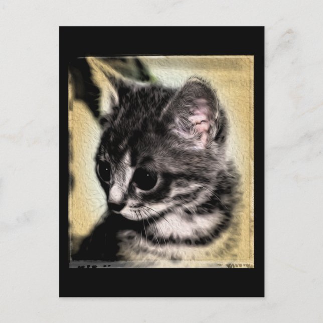 Carte Postale Tabby Kitten (Devant)