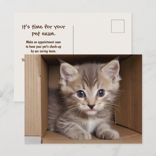 Carte Postale Tabby Kitten Pour Examen Pour Animaux De Compagnie (Devant / Derrière)