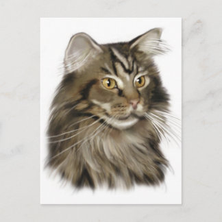Carte Postale Tabby noir Maine Coon Cat