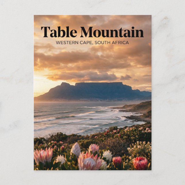 Carte Postale Table Mountain, Le Cap, Cap-Occidental (Devant)