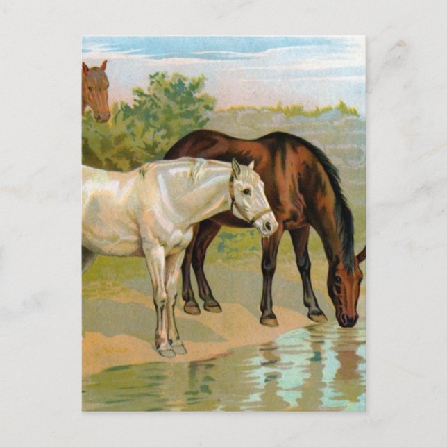 Carte Postale Tableau Cheval vintage (Devant)
