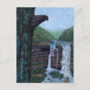 Carte Postale Tableau de Bear Falls