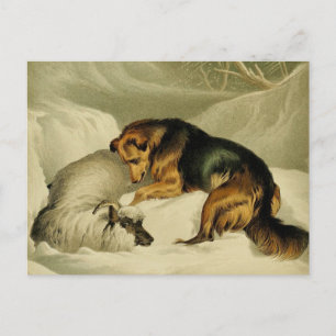 Carte Postale Tableau vintage : Berger allemand dans la neige