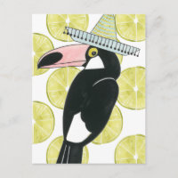 Taco à propos d'amour | Toucan Sombrero