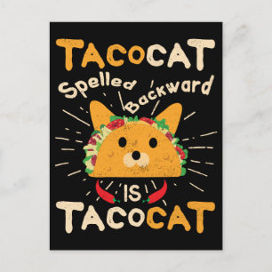 Carte Postale Tacocat épelé à l'envers Cinco de Mayo Cat Taco