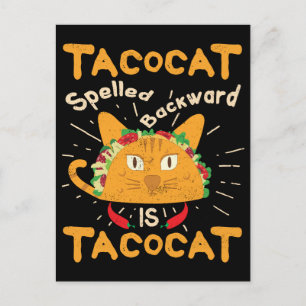 Carte Postale Tacocat épelé à l'envers Cinco de Mayo Taco