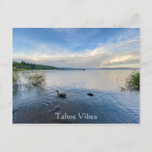 Carte postale Tahoe Vibes