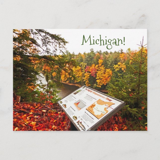 CARTE POSTALE, TAHQUAMENON FALLS STAPARK, MICHIGAN (Devant)