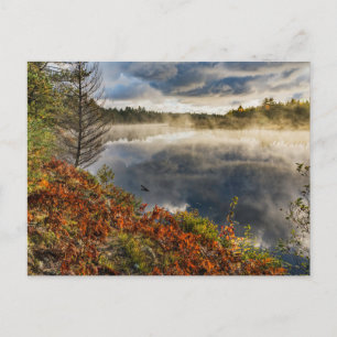 Carte Postale Tahquamenon   Paradise, Michigan