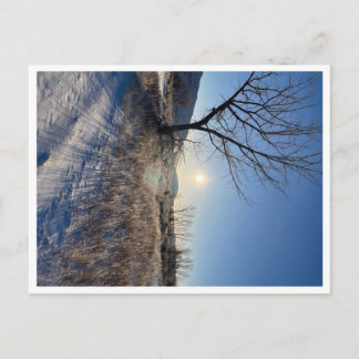 Carte postale, taille : Carte postale standard, pa