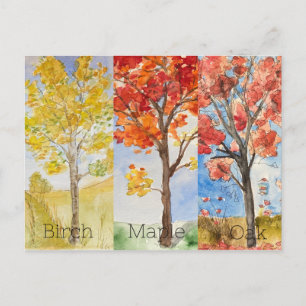 Carte postale, Taille : Carte postale standard, Pa