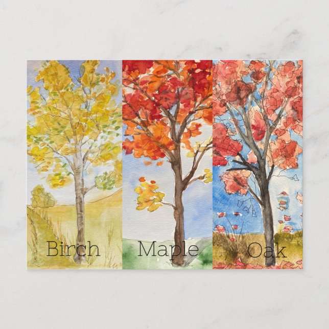 Carte postale, Taille : Carte postale standard, Pa (Devant)