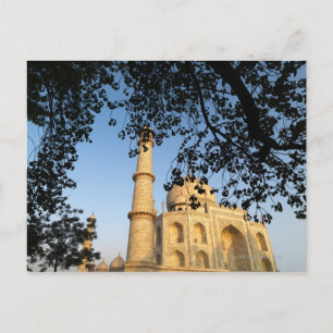 Carte Postale Taj Mahal au lever du soleil. Agra, Inde 2008.