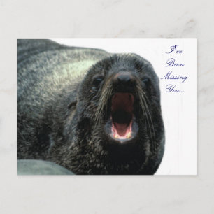 Carte postale Talking Seal