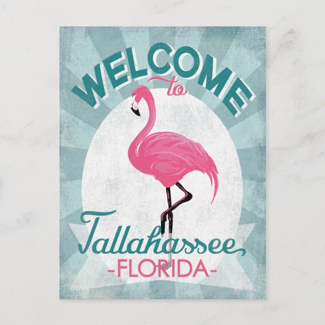 Carte Postale Tallahassee Floride Flamant rose rose Rétro (Devant)