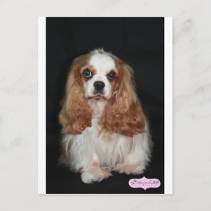 Carte Postale Tallulah