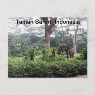 Carte Postale Taman Safari
