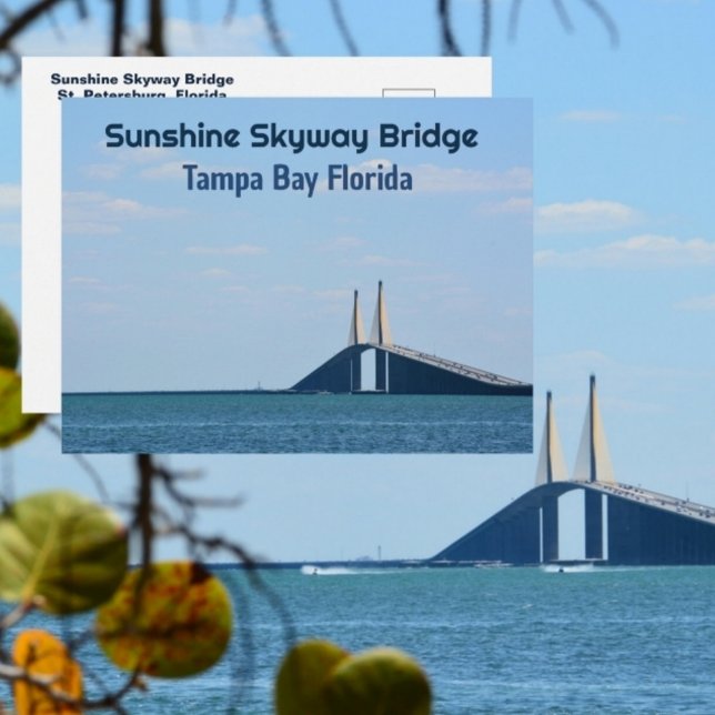Carte Postale Tampa Bay Floride Sunshine Skyway Photographie (Créateur téléchargé)