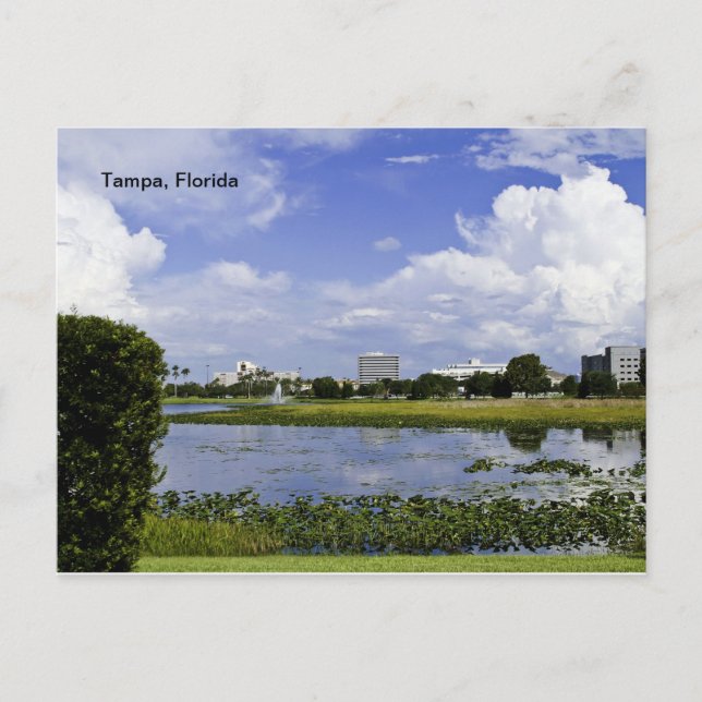 Carte Postale Tampa, Floride (Devant)