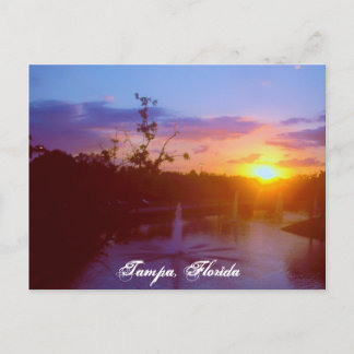 Carte Postale Tampa la Floride