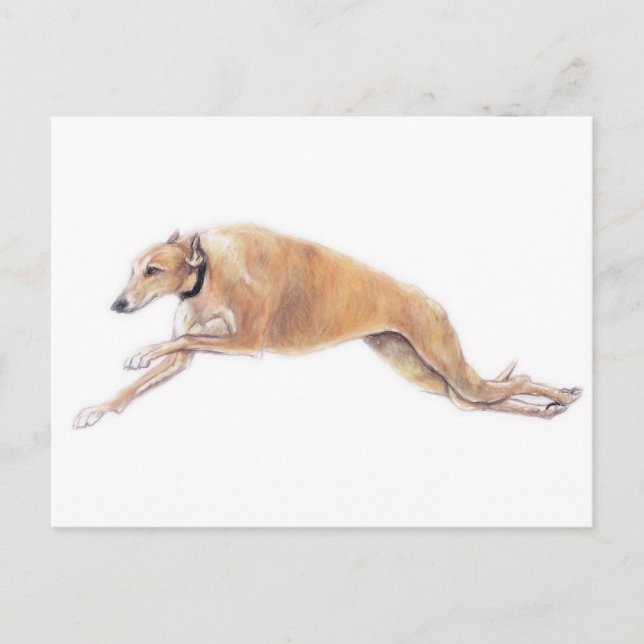 Carte postale Tan Greyhound Running Chig Art (Devant)