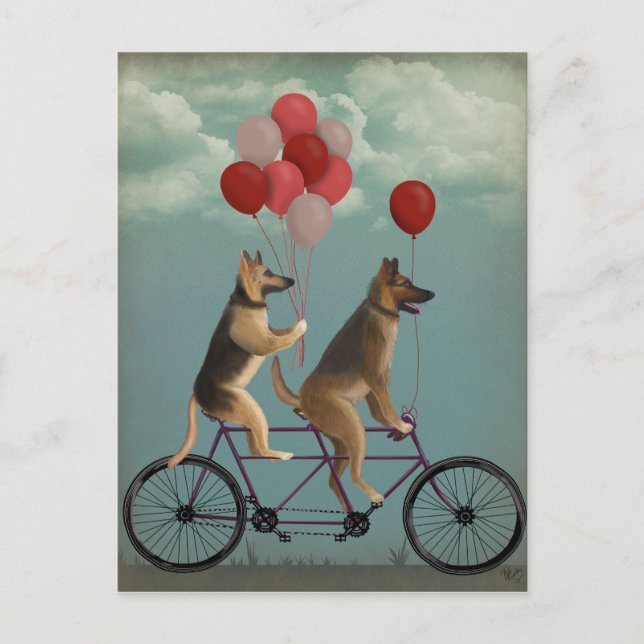Carte Postale Tandem berger allemand (Devant)