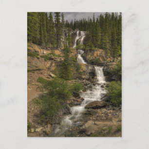 Carte Postale Tangle Falls