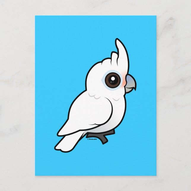 Carte Postale Tanimbar Corella (Devant)