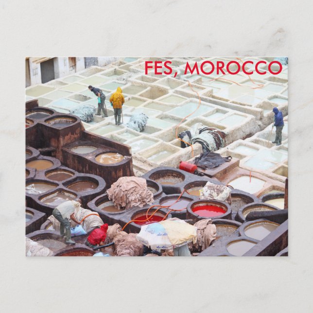 Carte Postale Tanneries Fès, Maroc (Devant)