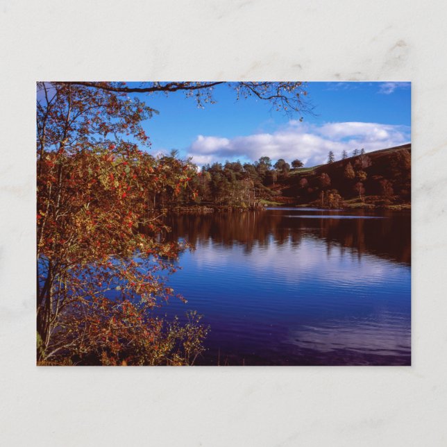 Carte Postale Tarn Hows lumineux jour d'automne Lake District An (Devant)
