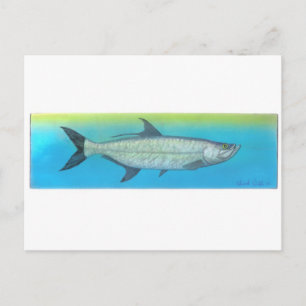 Carte Postale Tarpon