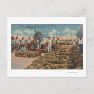 Carte Postale Tarpon Springs, FL - Scène de l'échange d'éponges
