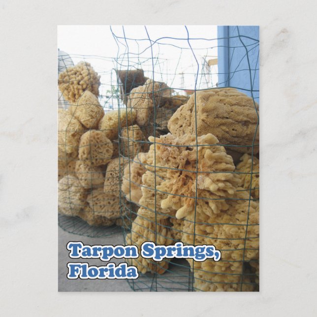 Carte postale Tarpon Springs Sponges (Devant)