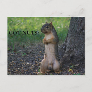 CARTE POSTALE T'AS DES NUTS ?