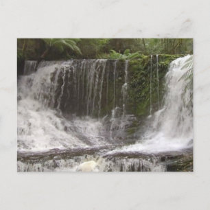 CARTE POSTALE TASMANIE L'AUSTRALIE CASSE DES EAUX RIVIÈRES NATUR