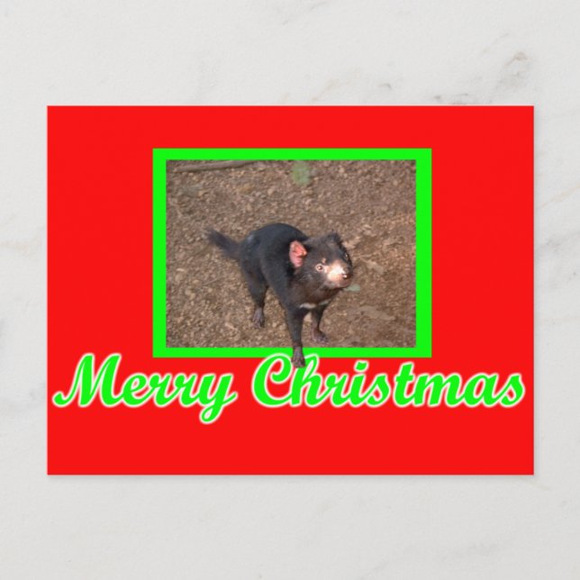 Carte Postale Tassie Devil (Devant)