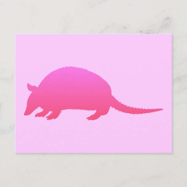 Carte Postale Tatou rose (Devant)