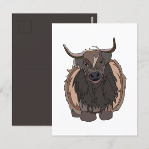 Carte Postale Taureau Bétail Taureau