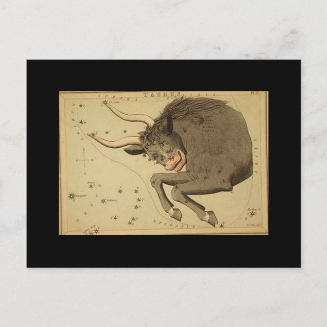 Carte postale Taurus (Devant)