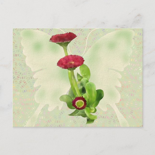 Carte Postale Tausendschön (Devant)