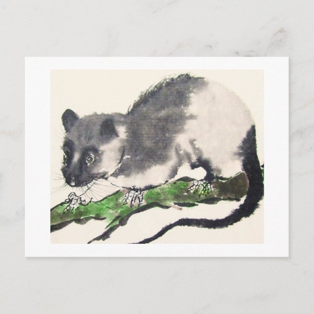 Carte Postale Taux no 09 * Rat * Ratten-Postkarten * Rat-Postc (Devant)