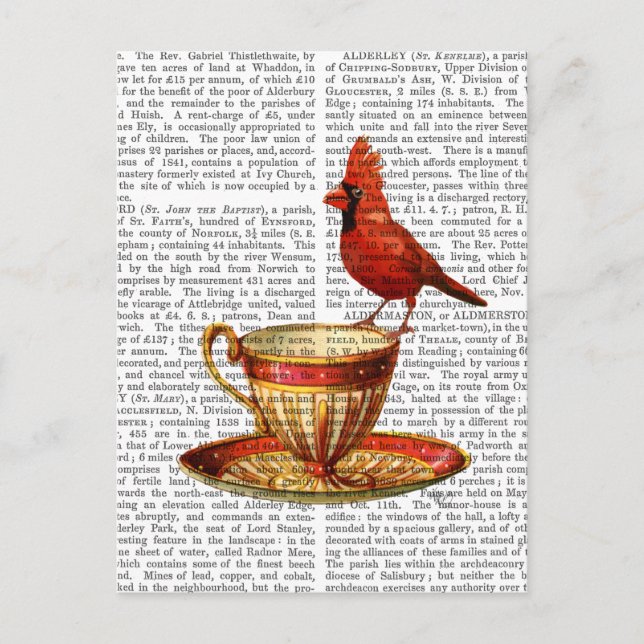 Carte Postale Teacup Et Cardinal Rouge (Devant)